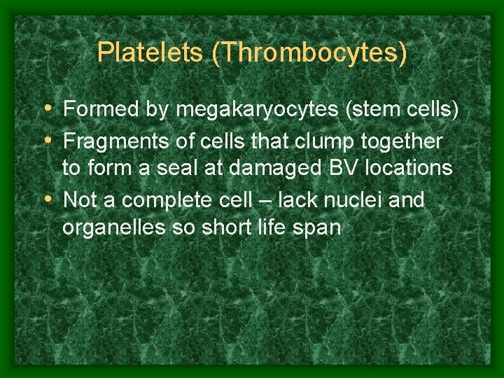 Platelets (Thrombocytes) • Formed by megakaryocytes (stem cells) • Fragments of cells that clump