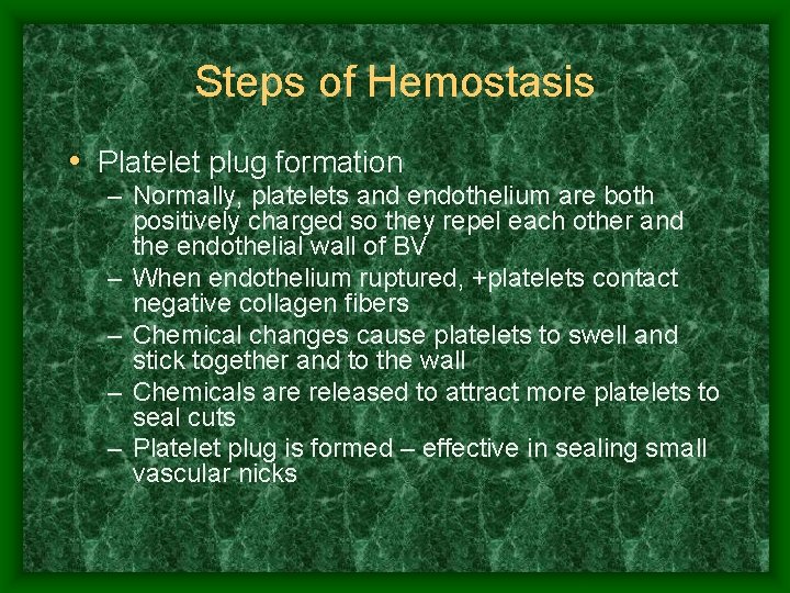 Steps of Hemostasis • Platelet plug formation – Normally, platelets and endothelium are both