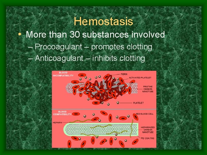 Hemostasis • More than 30 substances involved – Procoagulant – promotes clotting – Anticoagulant