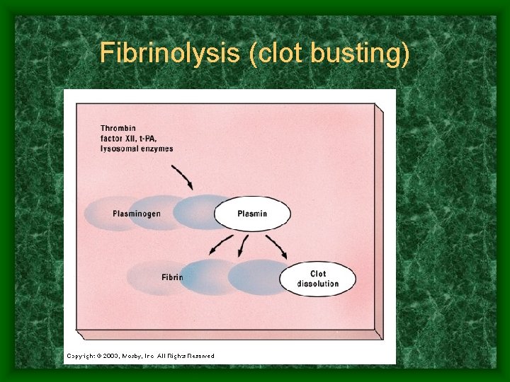 Fibrinolysis (clot busting) 