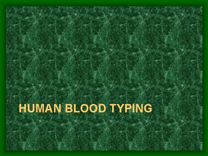 HUMAN BLOOD TYPING 