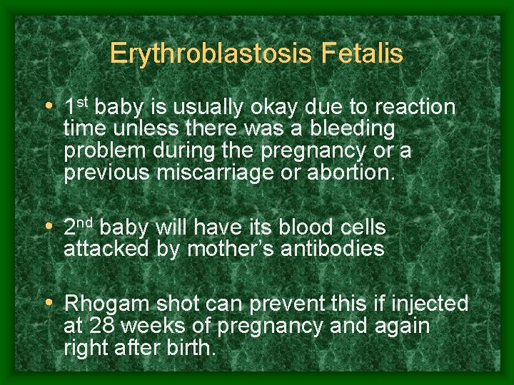Erythroblastosis Fetalis • 1 st baby is usually okay due to reaction time unless