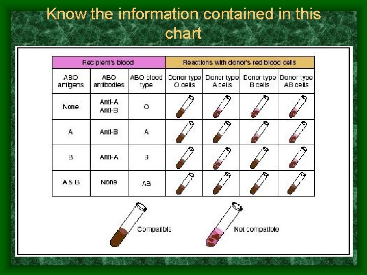 Know the information contained in this chart 