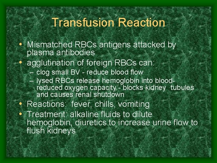 Transfusion Reaction • Mismatched RBCs antigens attacked by plasma antibodies • agglutination of foreign