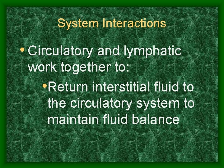 System Interactions • Circulatory and lymphatic work together to: • Return interstitial fluid to