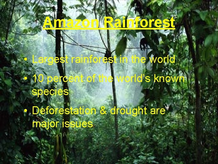 Amazon Rainforest • Largest rainforest in the world • 10 percent of the world’s