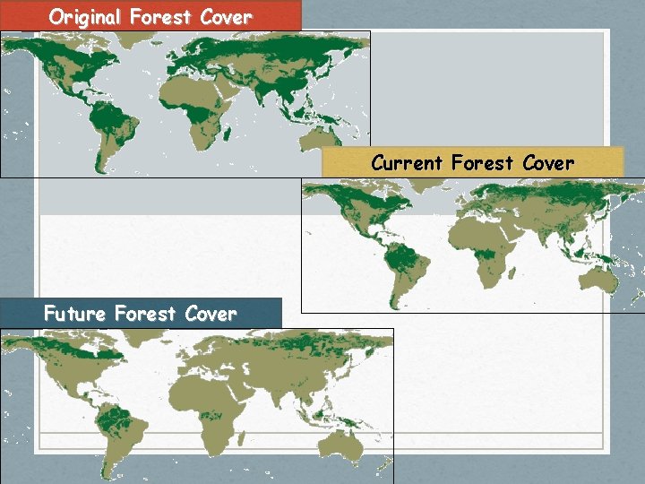 Original Forest Cover Current Forest Cover Future Forest Cover 