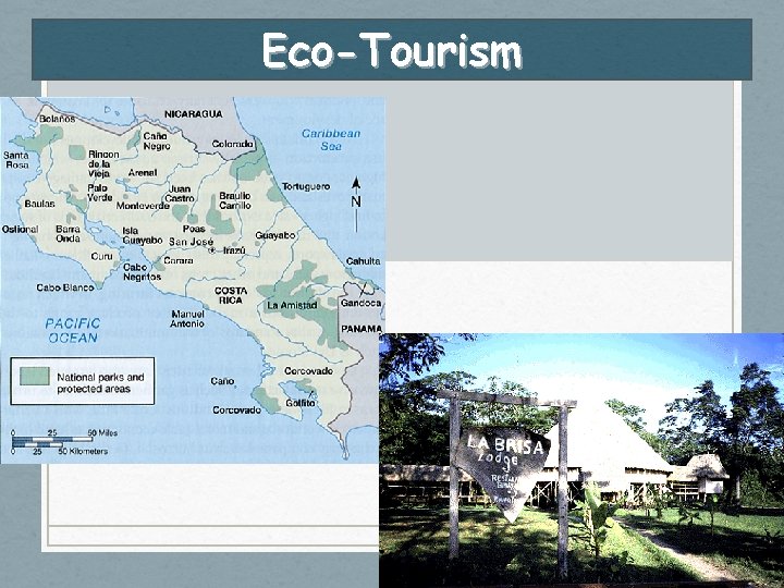 Eco-Tourism 