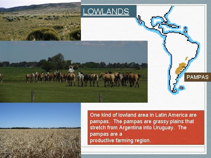 LOWLANDS PAMPAS One kind of lowland area in Latin America are pampas. The pampas