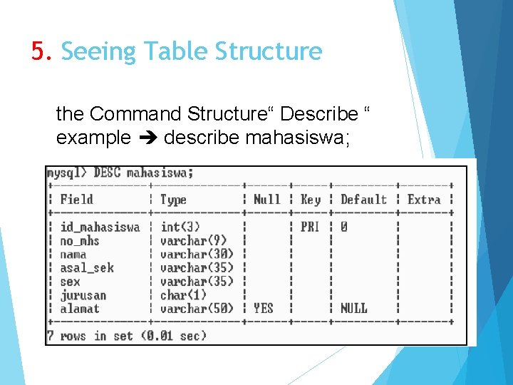 5. Seeing Table Structure the Command Structure“ Describe “ example describe mahasiswa; 
