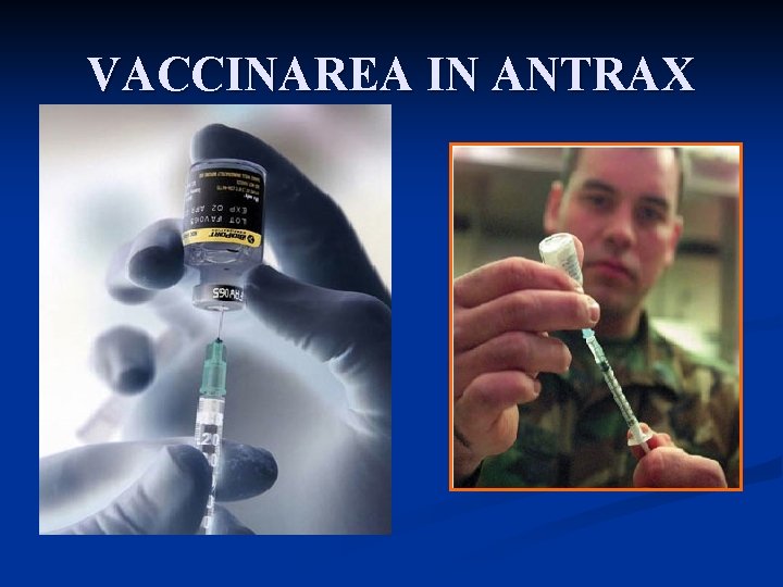 VACCINAREA IN ANTRAX 