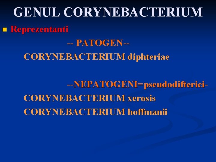 GENUL CORYNEBACTERIUM n Reprezentanti -- PATOGEN-CORYNEBACTERIUM diphteriae --NEPATOGENI=pseudodifterici. CORYNEBACTERIUM xerosis CORYNEBACTERIUM hoffmanii 