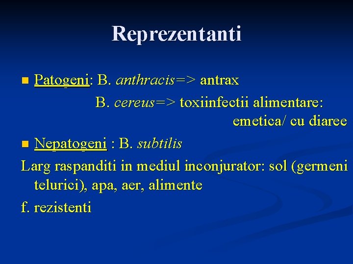 Reprezentanti Patogeni: B. anthracis=> antrax B. cereus=> toxiinfectii alimentare: emetica/ cu diaree n Nepatogeni