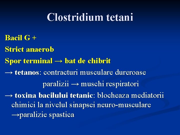 Clostridium tetani Bacil G + Strict anaerob Spor terminal → bat de chibrit →