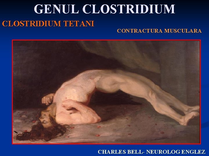 GENUL CLOSTRIDIUM TETANI CONTRACTURA MUSCULARA CHARLES BELL- NEUROLOG ENGLEZ 