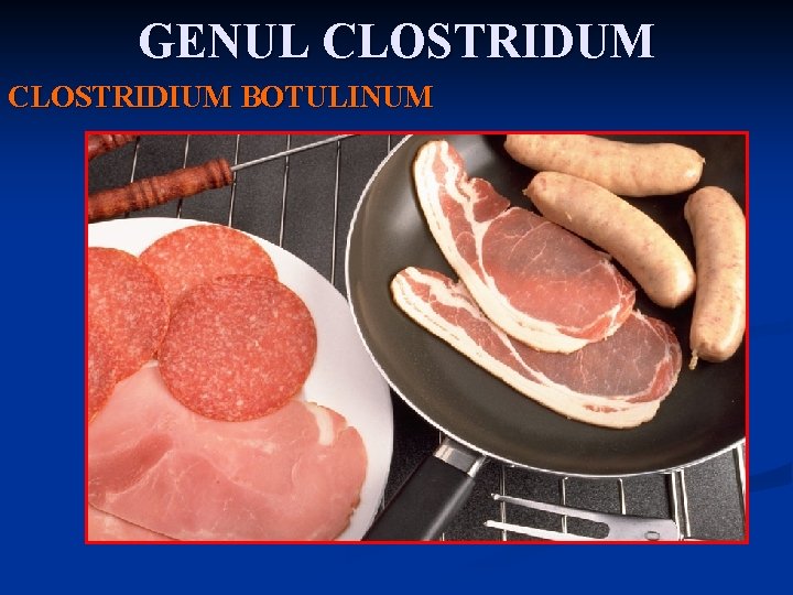 GENUL CLOSTRIDUM CLOSTRIDIUM BOTULINUM 