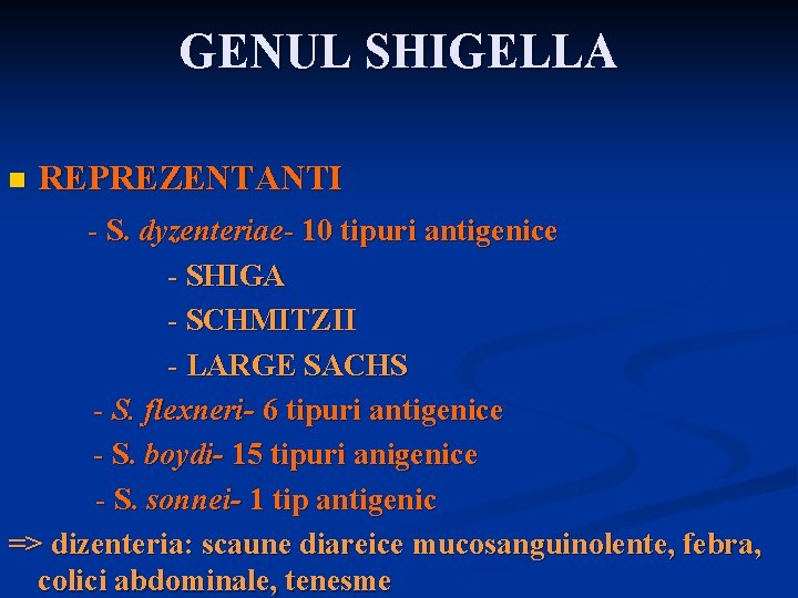 GENUL SHIGELLA n REPREZENTANTI - S. dyzenteriae- 10 tipuri antigenice - SHIGA - SCHMITZII