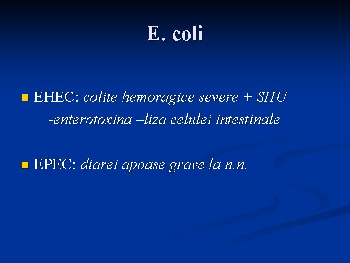 E. coli n EHEC: colite hemoragice severe + SHU -enterotoxina –liza celulei intestinale n