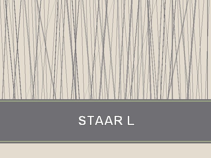 STAAR L 