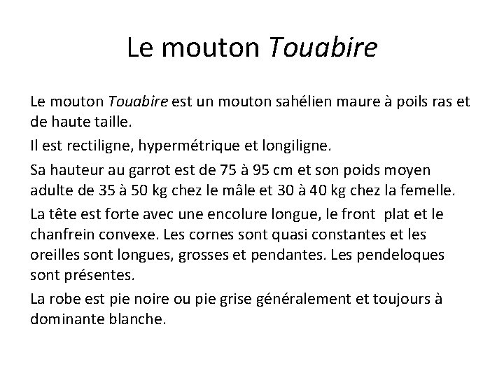 Le mouton Touabire est un mouton sahélien maure à poils ras et de haute