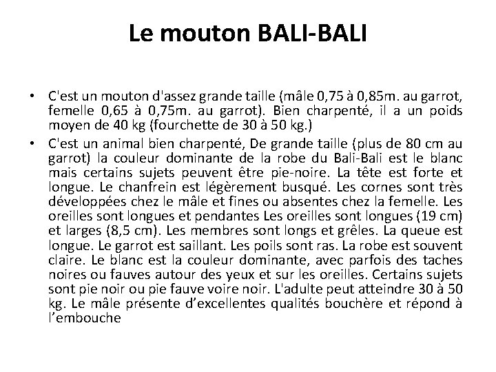 Le mouton BALI-BALI • C'est un mouton d'assez grande taille (mâle 0, 75 à