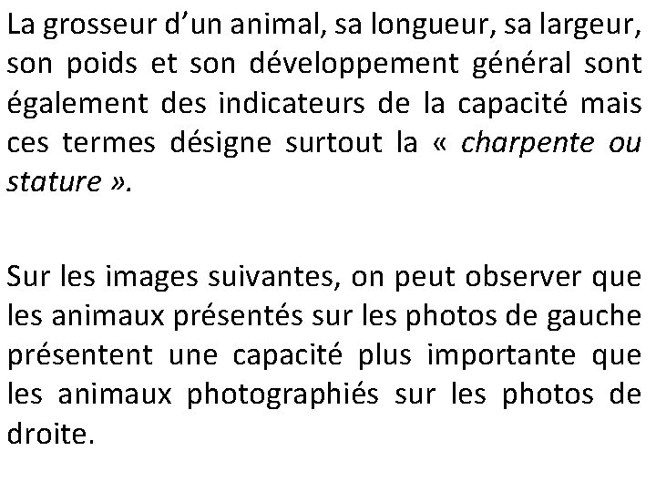 La grosseur d’un animal, sa longueur, sa largeur, son poids et son développement général