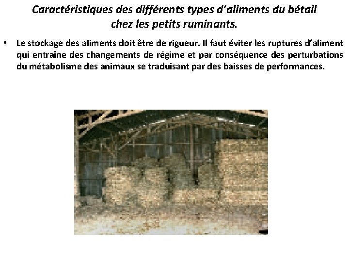 Caractéristiques différents types d’aliments du bétail chez les petits ruminants. • Le stockage des