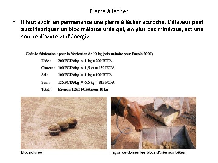 Pierre à lécher • Il faut avoir en permanence une pierre à lécher accroché.