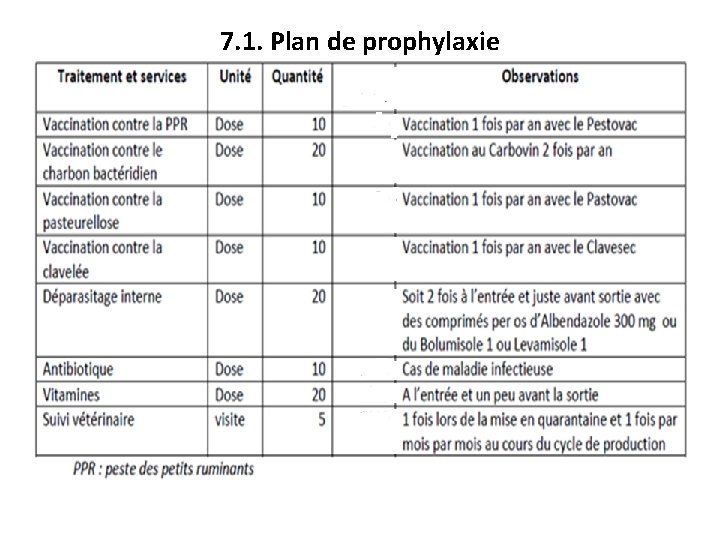 7. 1. Plan de prophylaxie 
