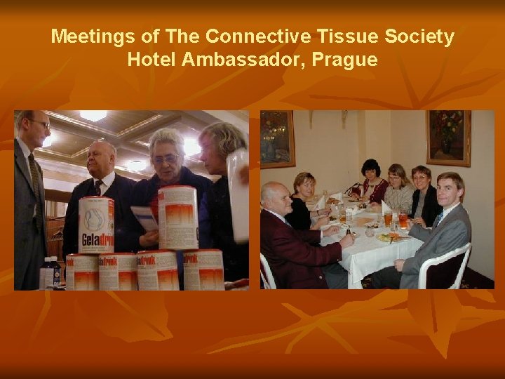 Meetings of The Connective Tissue Society Hotel Ambassador, Prague 