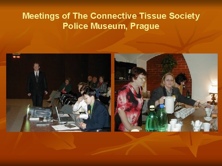 Meetings of The Connective Tissue Society Police Museum, Prague 