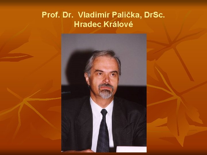 Prof. Dr. Vladimír Palička, Dr. Sc. Hradec Králové 