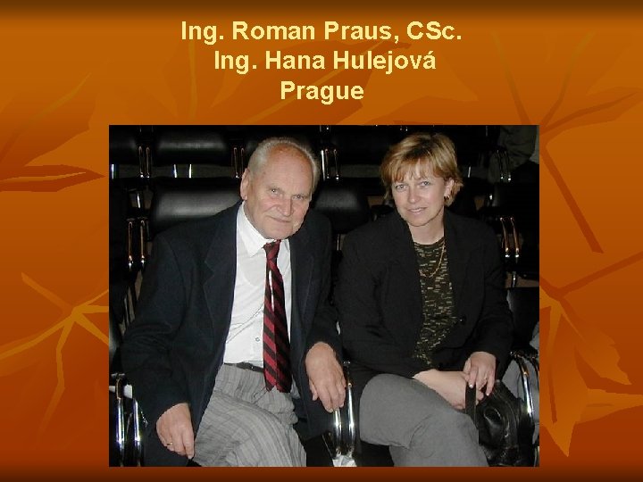 Ing. Roman Praus, CSc. Ing. Hana Hulejová Prague 