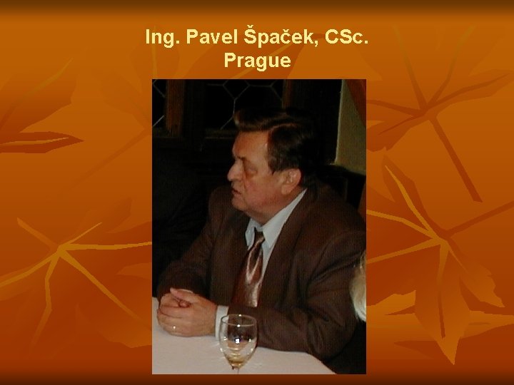 Ing. Pavel Špaček, CSc. Prague 