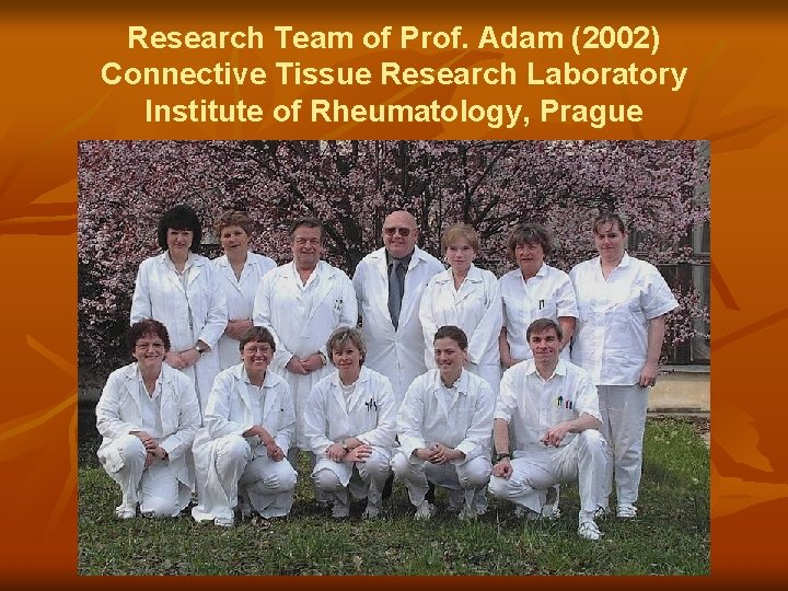 Research Team of Prof. Adam (2002) Connective Tissue Research Laboratory Institute of Rheumatology, Prague
