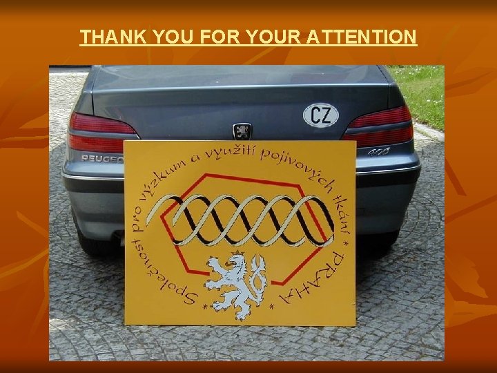 THANK YOU FOR YOUR ATTENTION 