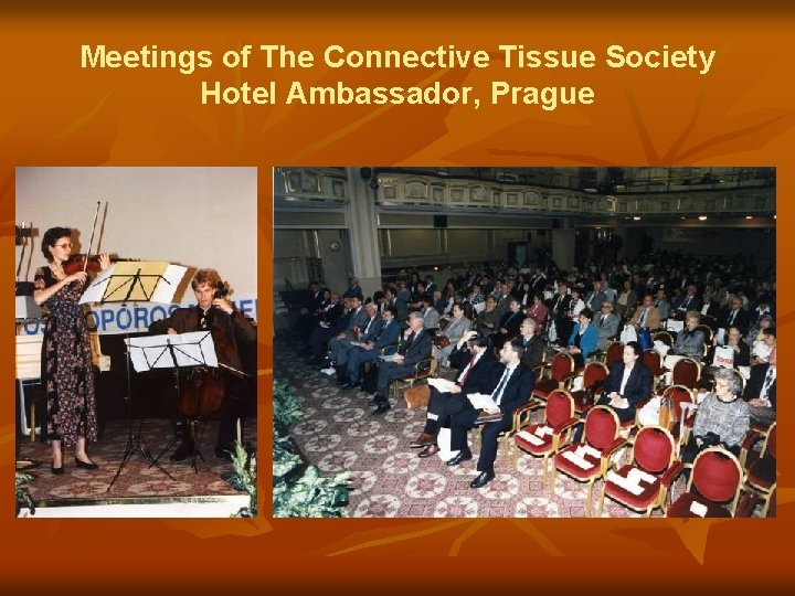 Meetings of The Connective Tissue Society Hotel Ambassador, Prague 