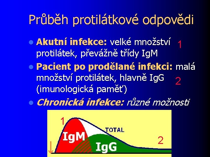 Průběh protilátkové odpovědi l Akutní infekce: velké množství 1 protilátek, převážně třídy Ig. M