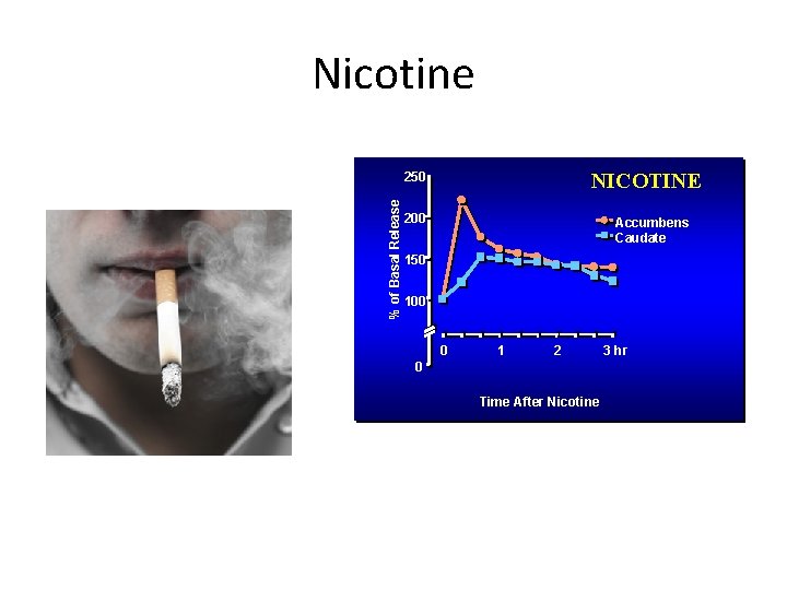 Nicotine NICOTINE % of Basal Release 250 200 Accumbens Caudate 150 100 0 1