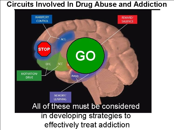 Circuits Involved In Drug Abuse and Addiction STOP GO All of these must be