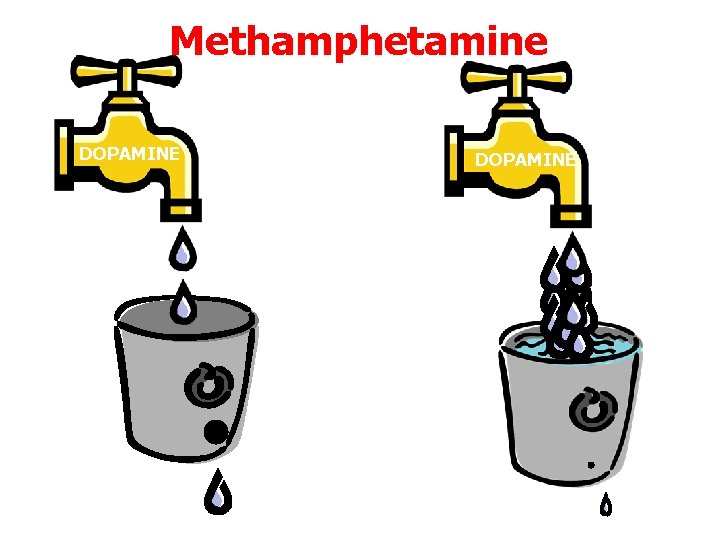 Methamphetamine DOPAMINE 