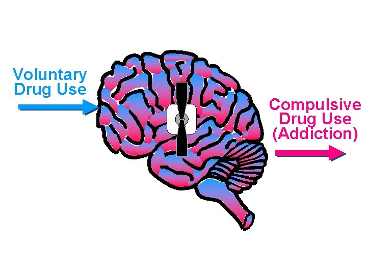 Voluntary Drug Use Compulsive Drug Use (Addiction) 