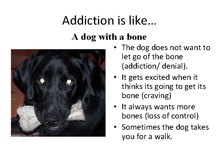 Addiction is like… A dog with a bone • The dog does not want