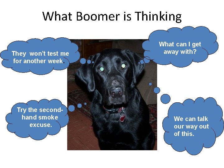 What Boomer is Thinking They won’t test me for another week. Try the secondhand