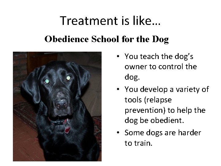 Treatment is like… Obedience School for the Dog • You teach the dog’s owner