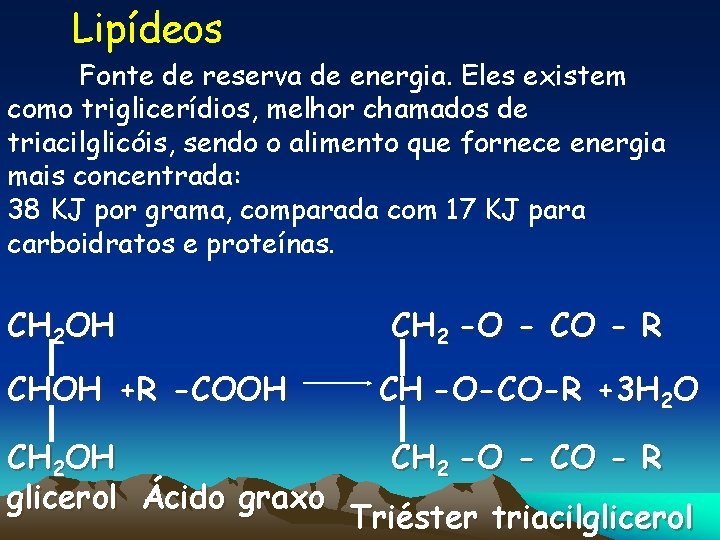 Lipídeos Fonte de reserva de energia. Eles existem como triglicerídios, melhor chamados de triacilglicóis,