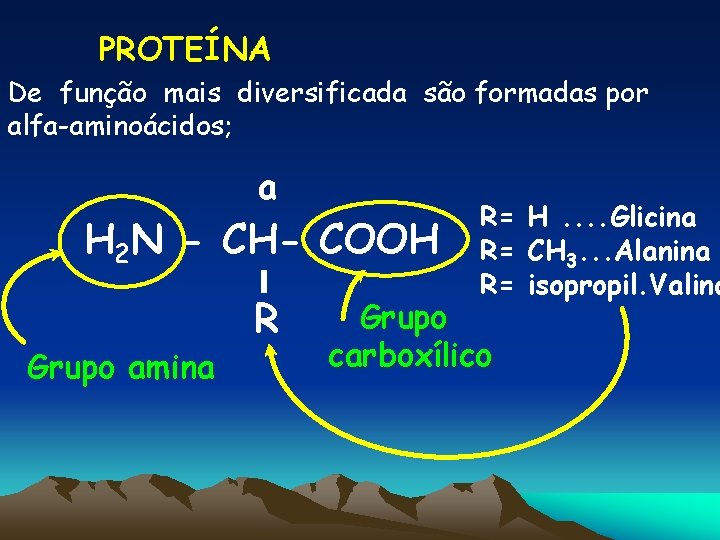 PROTEÍNA De função mais diversificada são formadas por alfa-aminoácidos; a H 2 N -