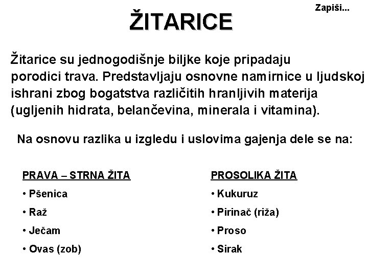 ŽITARICE Zapiši. . . Žitarice su jednogodišnje biljke koje pripadaju porodici trava. Predstavljaju osnovne