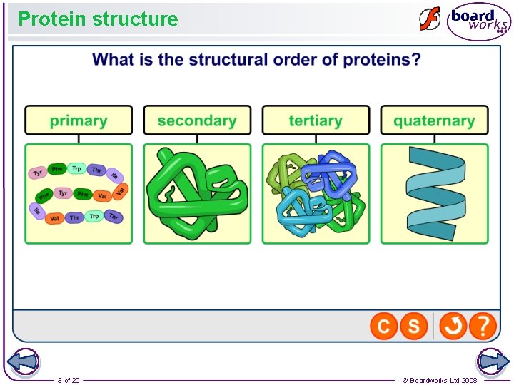 Protein structure 3 of 29 © Boardworks Ltd 2008 