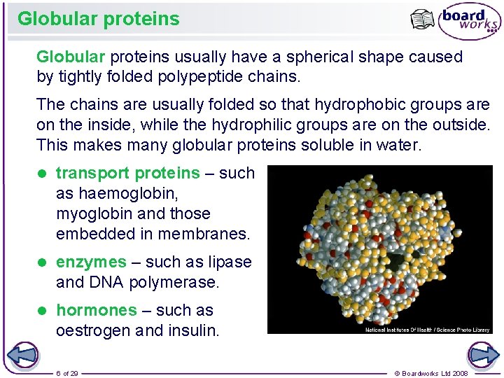 Globular proteins usually have a spherical shape caused by tightly folded polypeptide chains. The